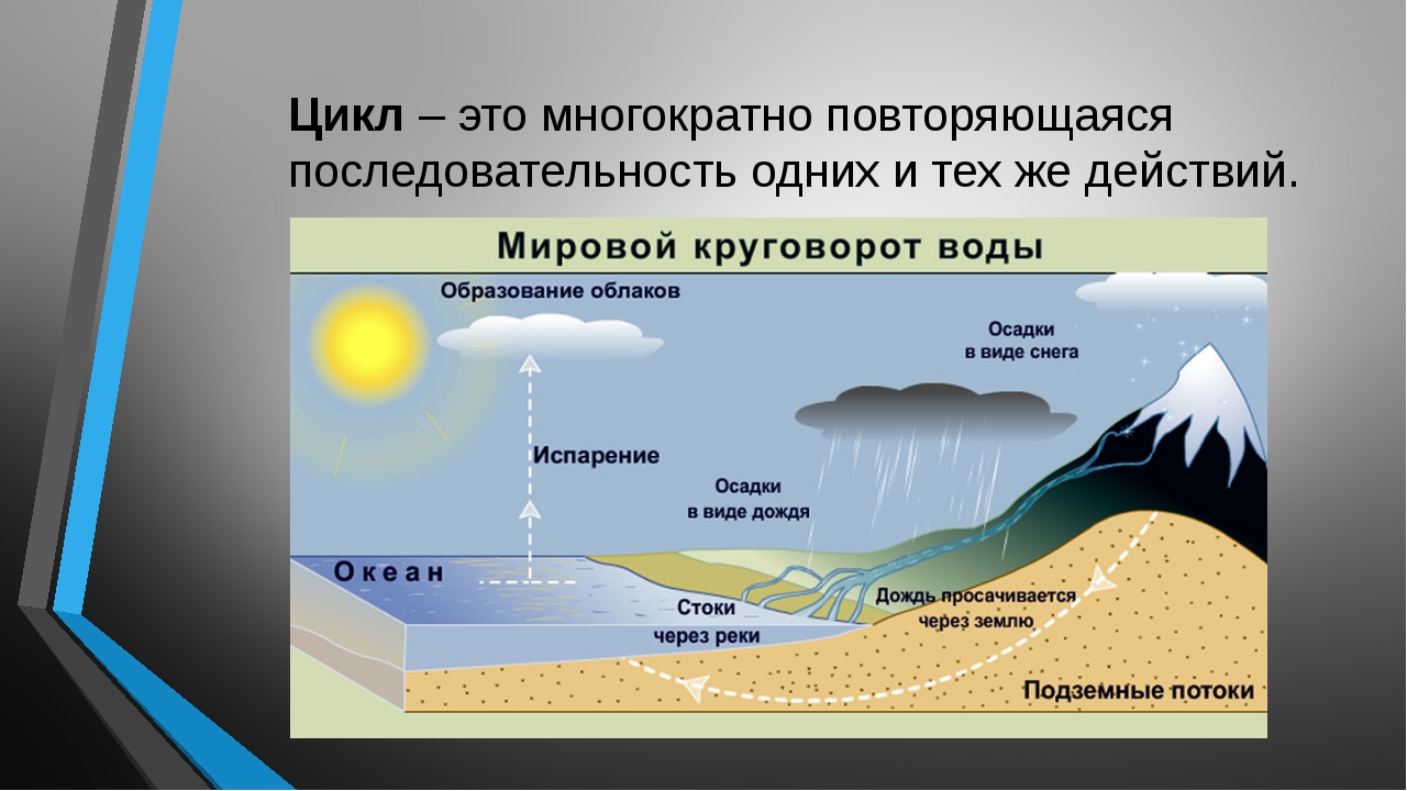 Презентация на тему циклы