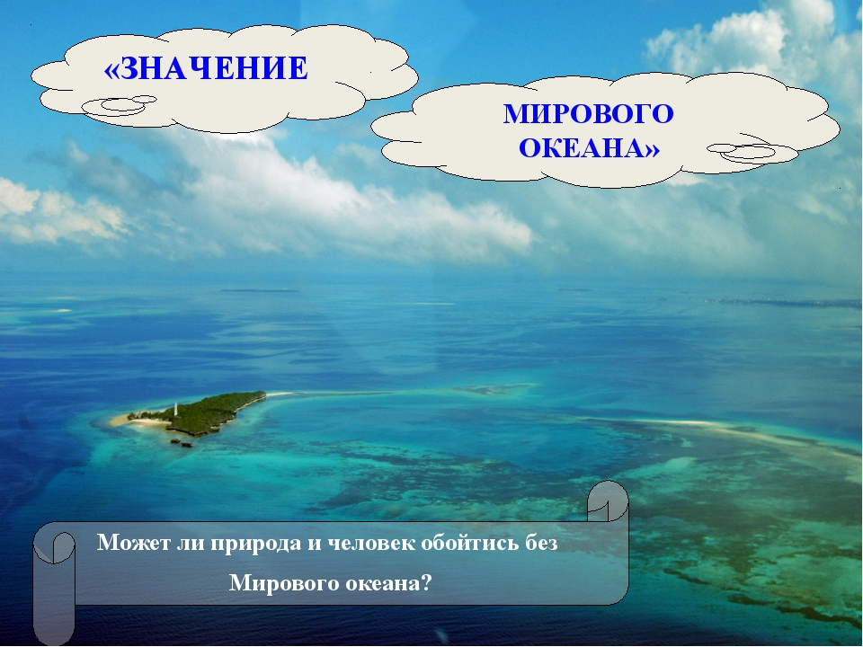 Жизнь в мировом океане 5 класс презентация