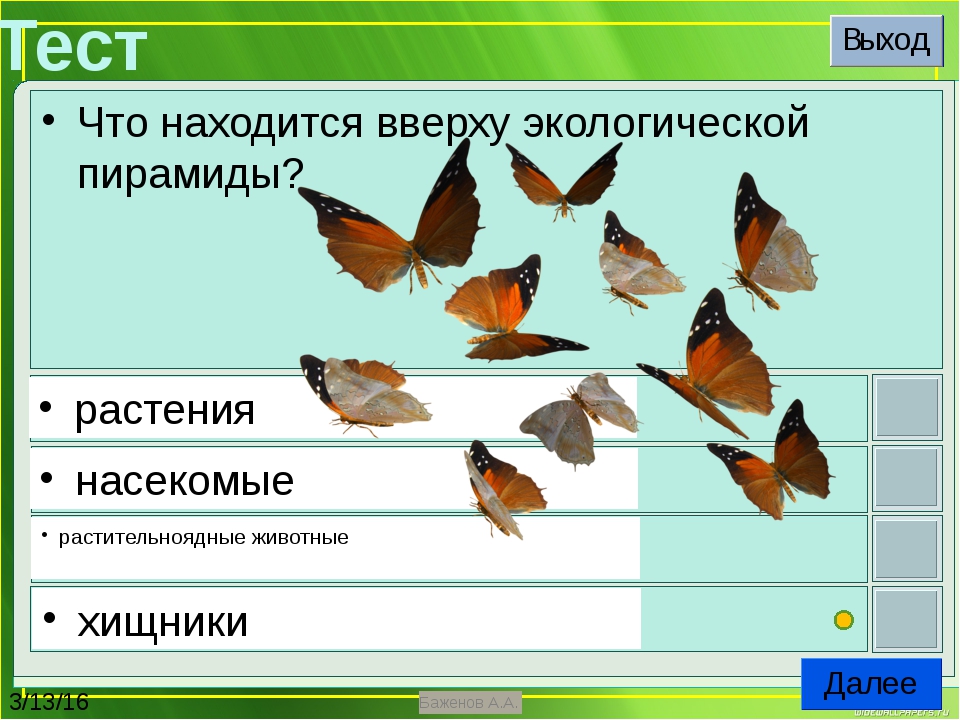 Тест презентация по окружающему миру 3 класс