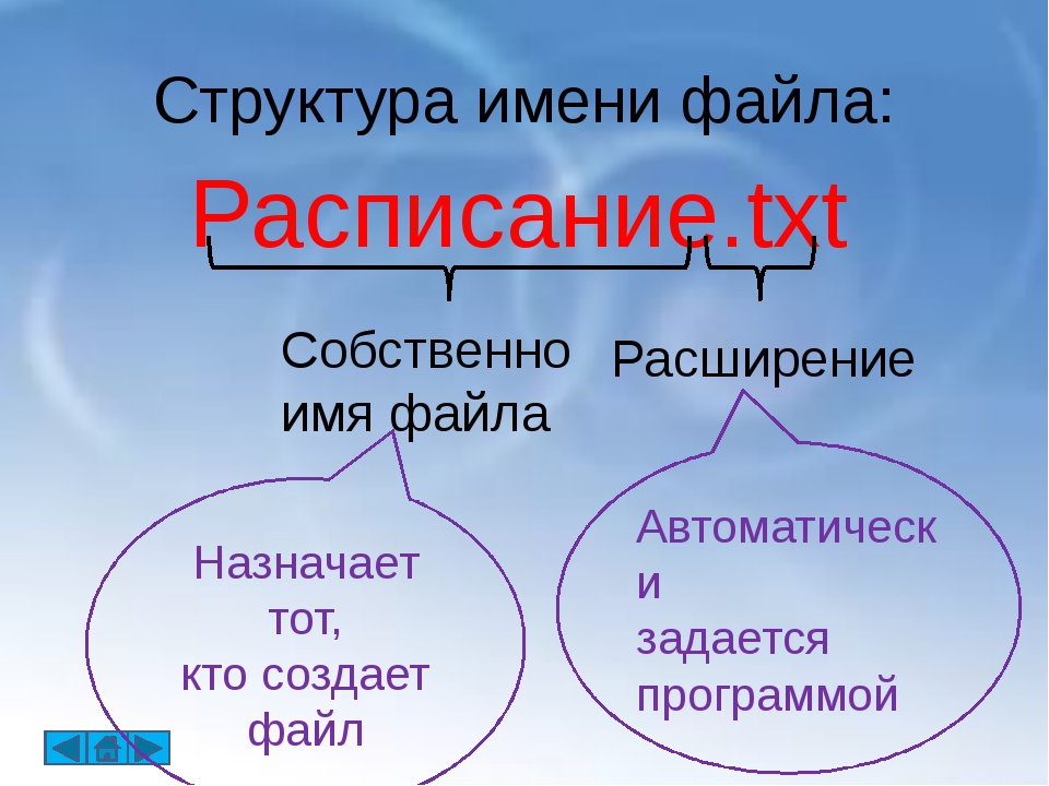 Любая информация хранится во внешней памяти в виде файлов