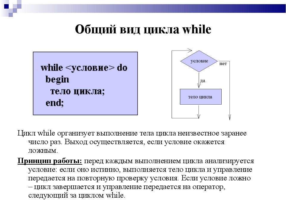 Цикл 10 минут. Цикл while. Конструкция цикла while. Цикл for Паскаль. Циклы Информатика 9 класс.