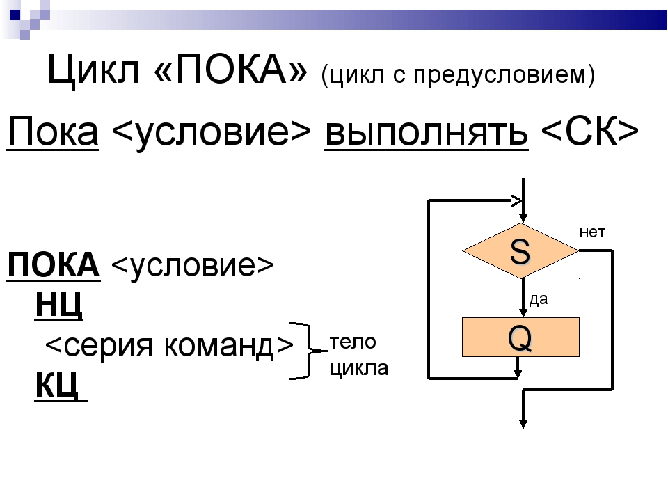 Тело цикла это