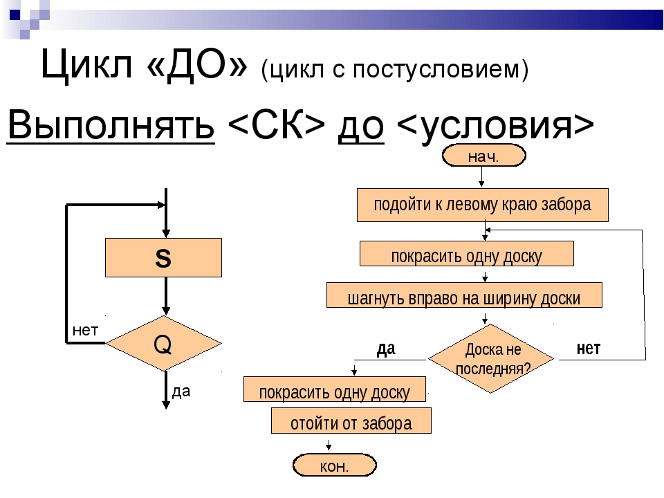 Какой цикл входит