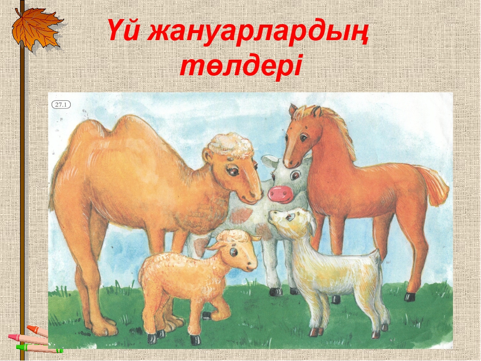 Сурет төрт. Үй жануарлары картинки для детей. Үй жануарлары на казахском. Қой рисунок. Үй жануарлары картинки для детей карточки.