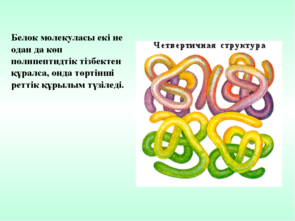 Четвертичная структура белка образуется в результате взаимодействия. Четвертичная структура белка формула. Четвертичная структура белка связи. Четвертичная структура белка взаимодействия. Четвертичная структура белка примеры.