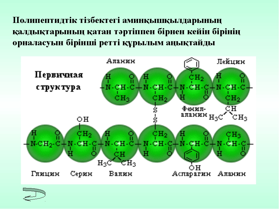 Көміртектің химиялық қасиеттері презентация 8 сынып