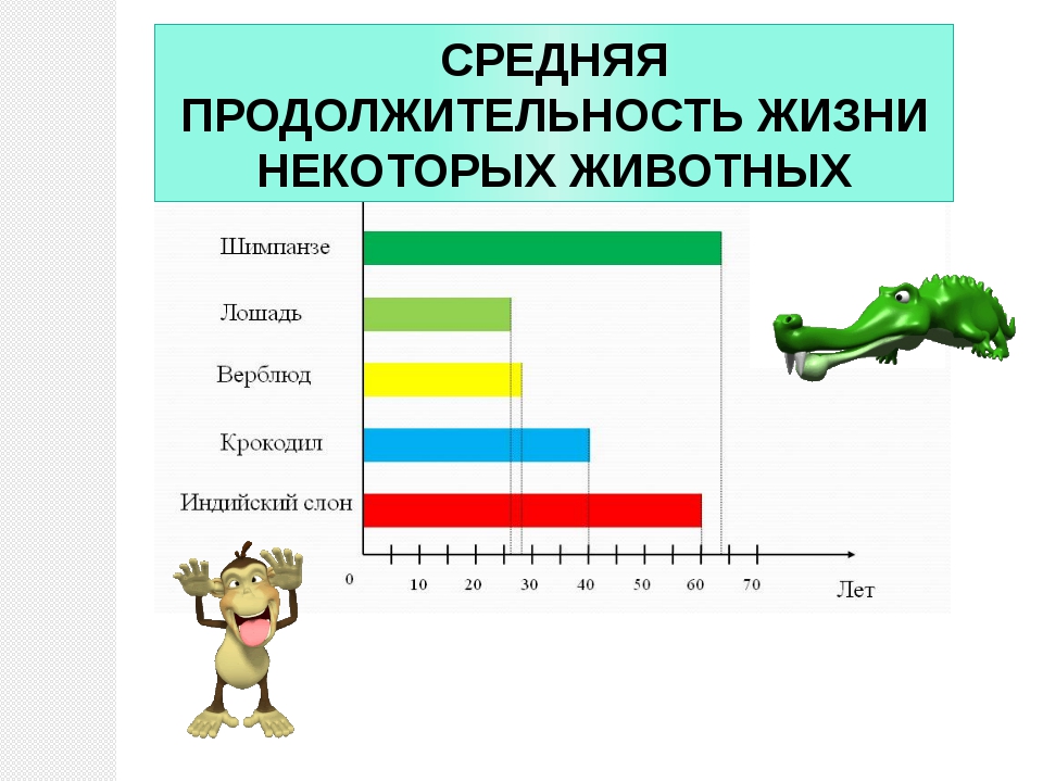 Сколько живут все животные. Диаграмма продолжительности жизни животных. Средняя Продолжительность жизни животных. Средняя Продолжительность жизни крокодила. Продолжительность жизни некоторых животных.