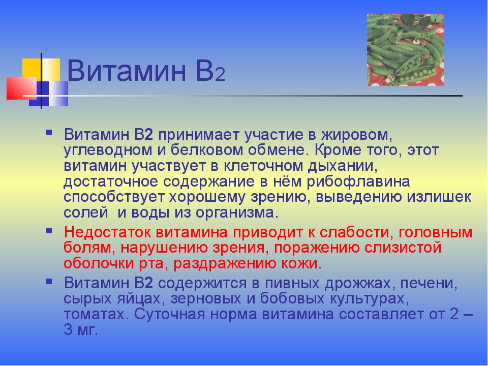 Презентация про раису сметанину