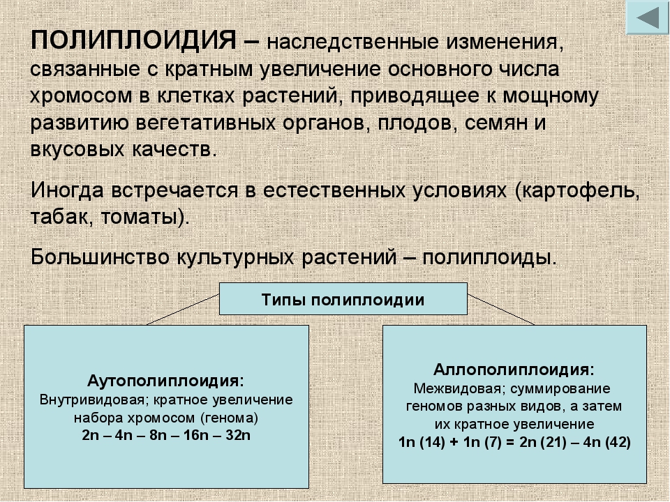 Полиплоидия презентация 10 класс