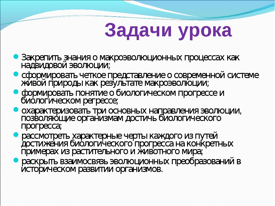 Основные направления эволюции презентация