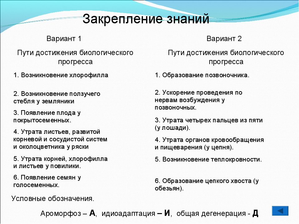 Пути достижения биологического прогресса презентация 11 класс