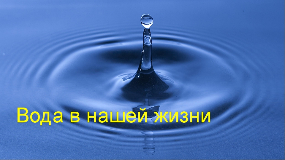 Проект вода колыбель жизни