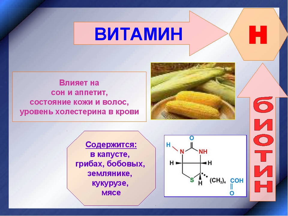 Презентация ферменты и витамины 10 класс химия