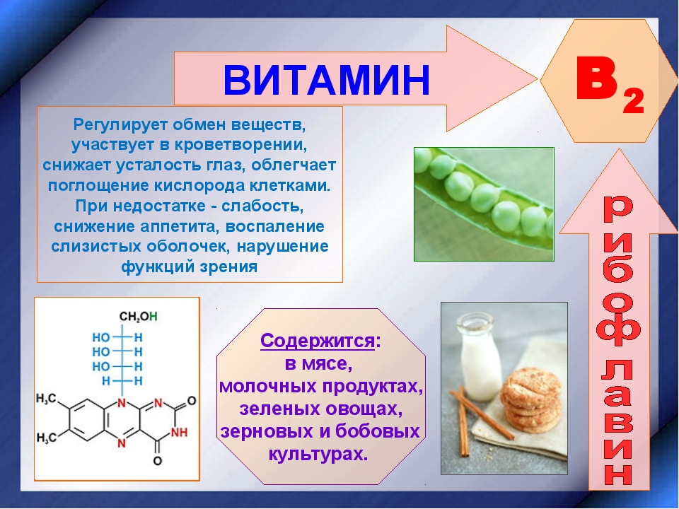 Презентация ферменты и витамины 10 класс химия