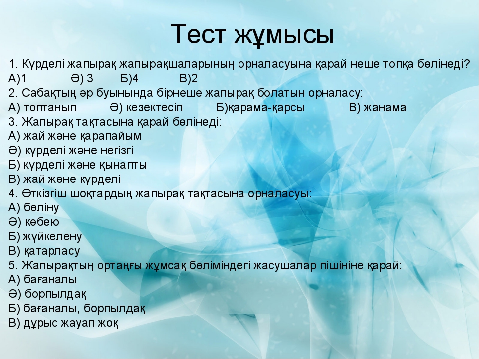 Презентация туралы тест