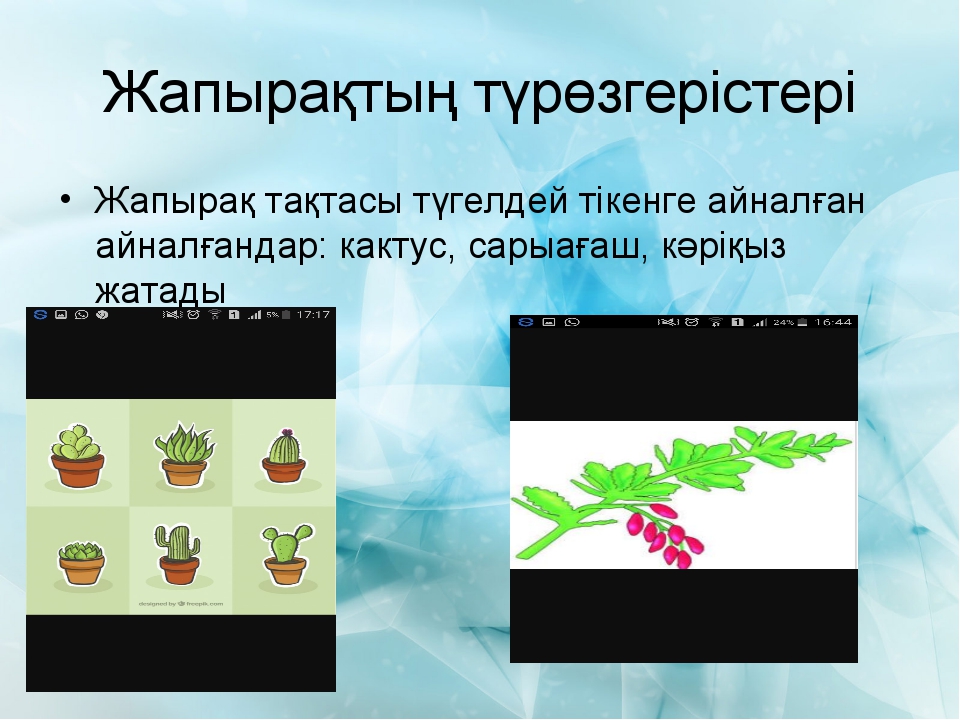 Көміртектің аллотропиялық түрөзгерістері презентация