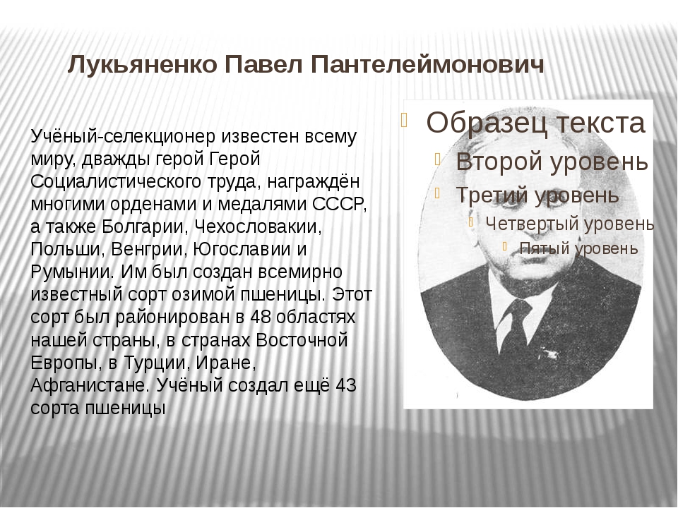 Лукьяненко павел пантелеймонович презентация