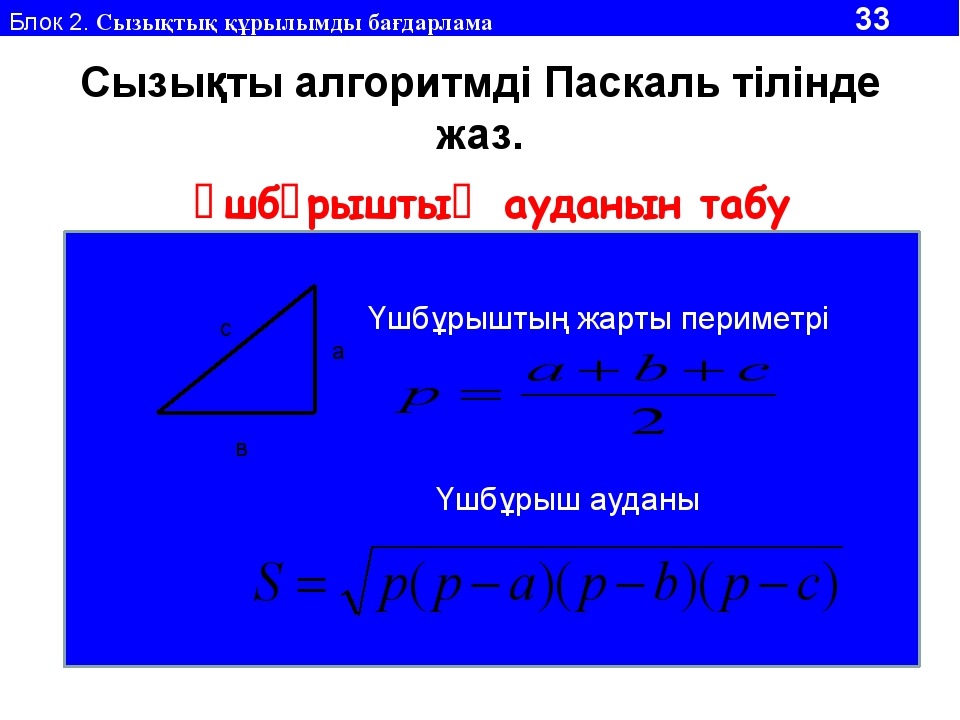 Шарттарды программалау 9 сынып презентация