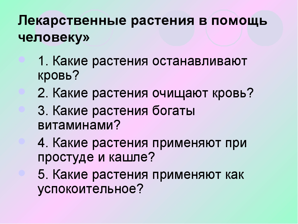 Экологический калейдоскоп презентация