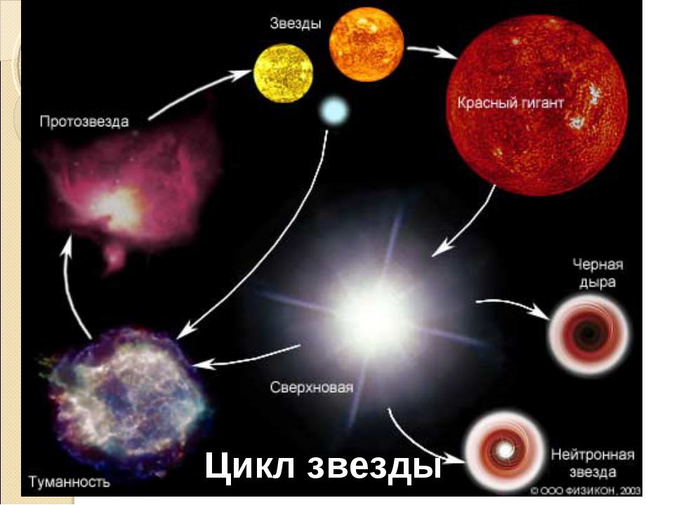 Жизненный цикл звезд протозвезда. Этапы жизни эволюции звезд. Финальная стадия эволюции звезд. Этапы эволюции звезд астрономия.