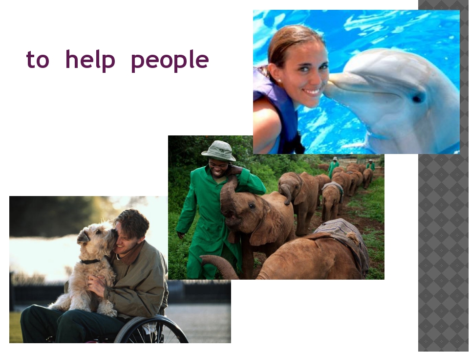 Презентация по английскому языку по теме "How do animals help people