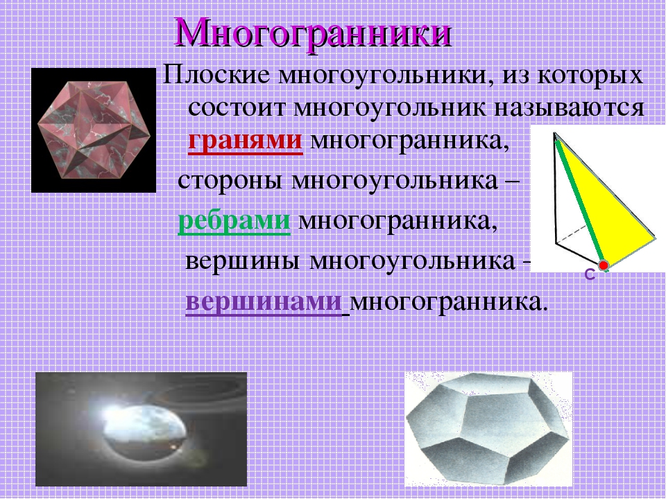 Из чего состоит растровое изображение овалы многоугольники