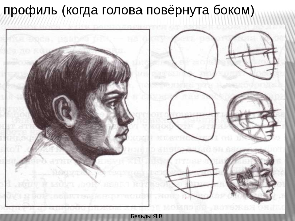 Профиль поэтапно. Этапы рисования портрета. Поэтапное рисование лица. Лицо человека рисунок. Зарисовка головы человека в профиль.