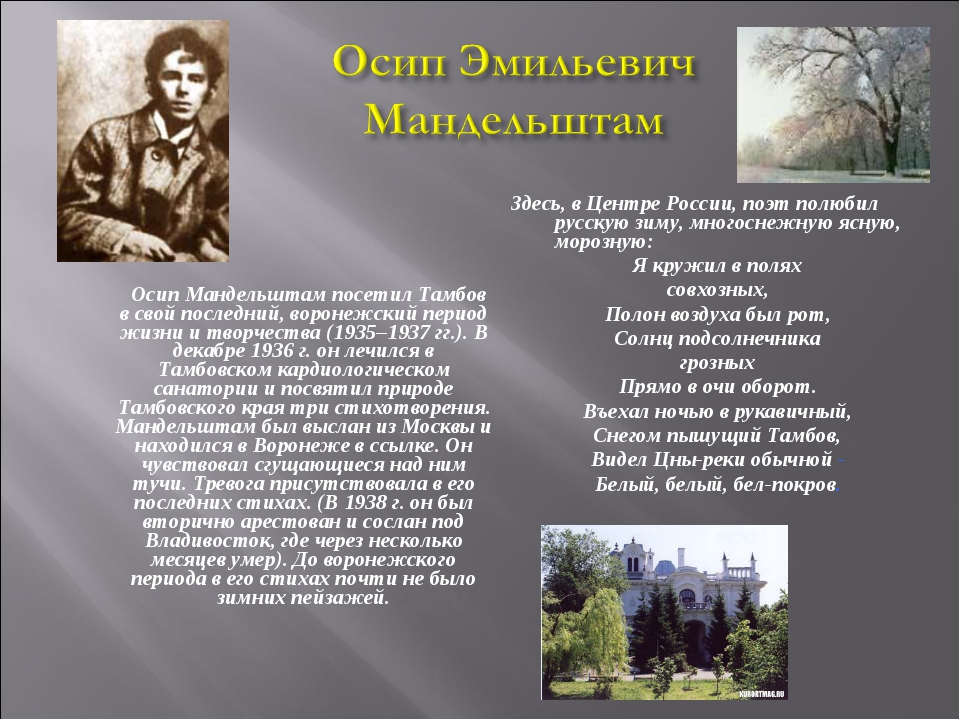 Писатели Тамбова и Тамбовской области. Знаменитые поэты Тамбовской области. Писатели Воронежской области. Известные воронежские Писатели и поэты.