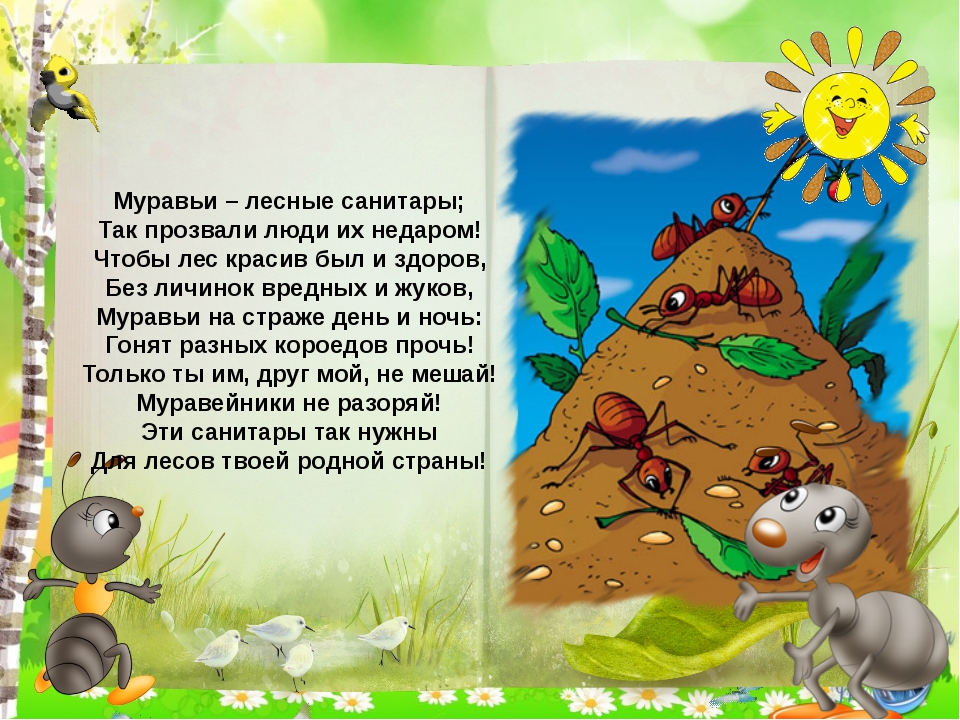 Презентация экологической тропы "Муравьишка-муравей,лучший друг ...