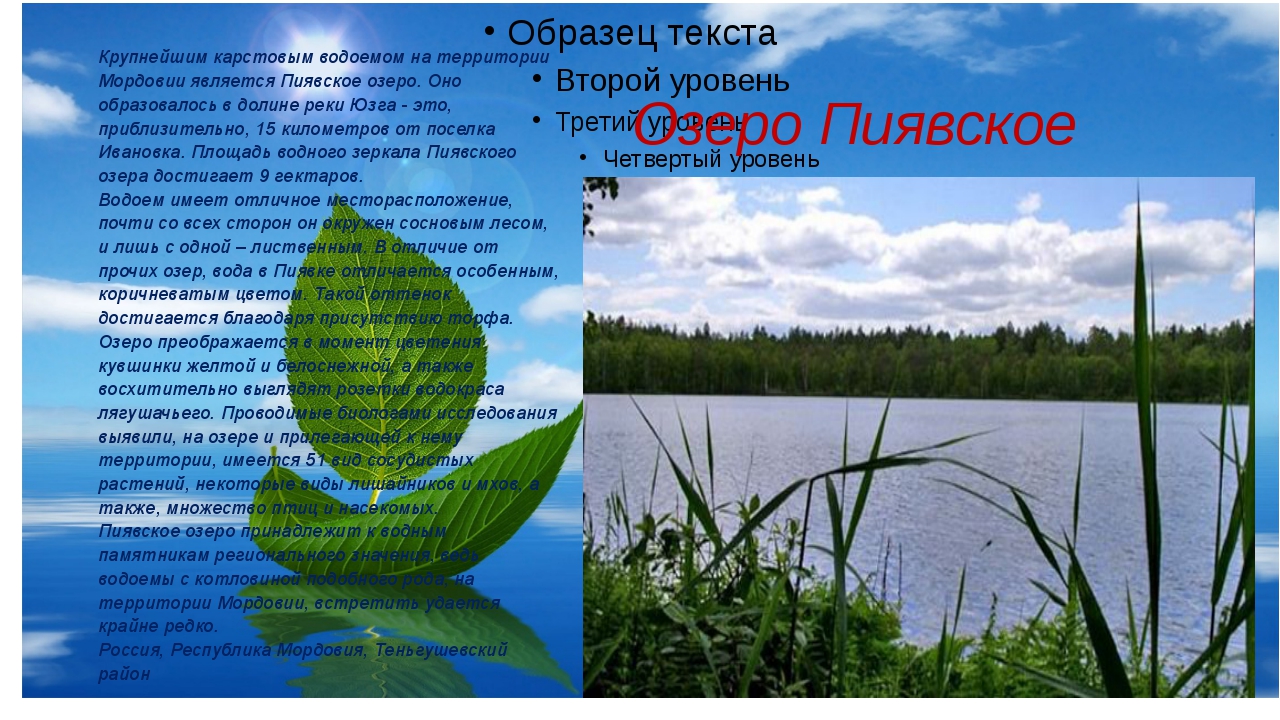 Презентация на тему конопля Презентация на тему конопля в организме конопля срок