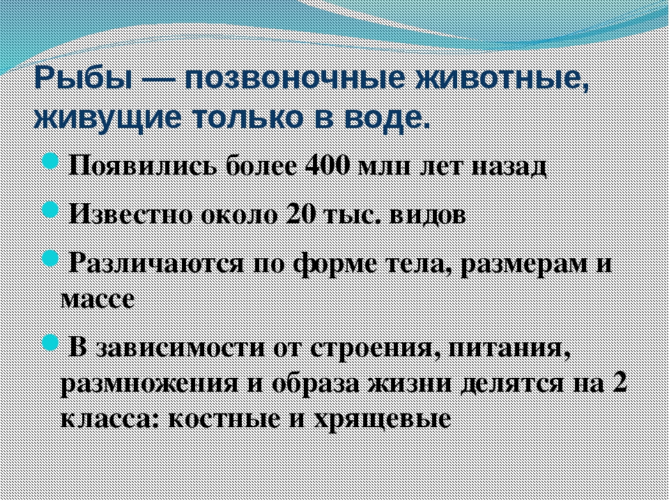 Биология 7 класс надкласс рыбы презентация