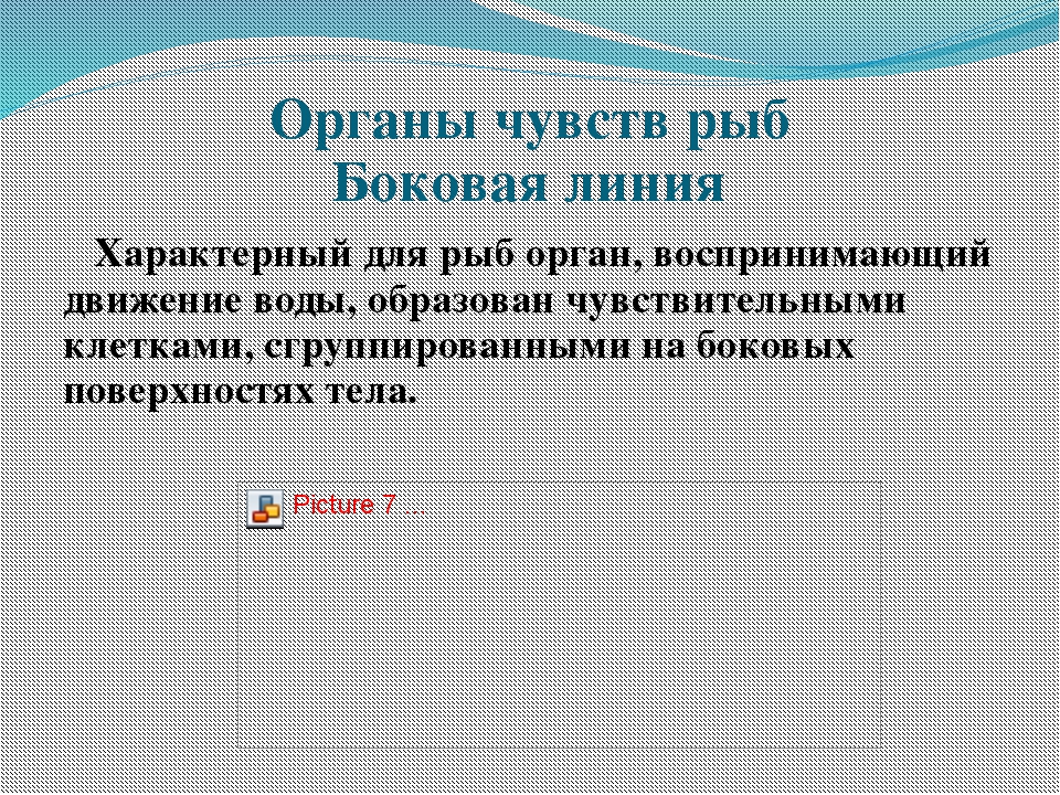 Биология 7 класс надкласс рыбы презентация