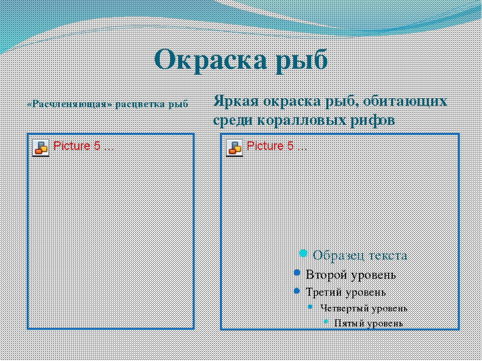 Биология 7 класс надкласс рыбы презентация