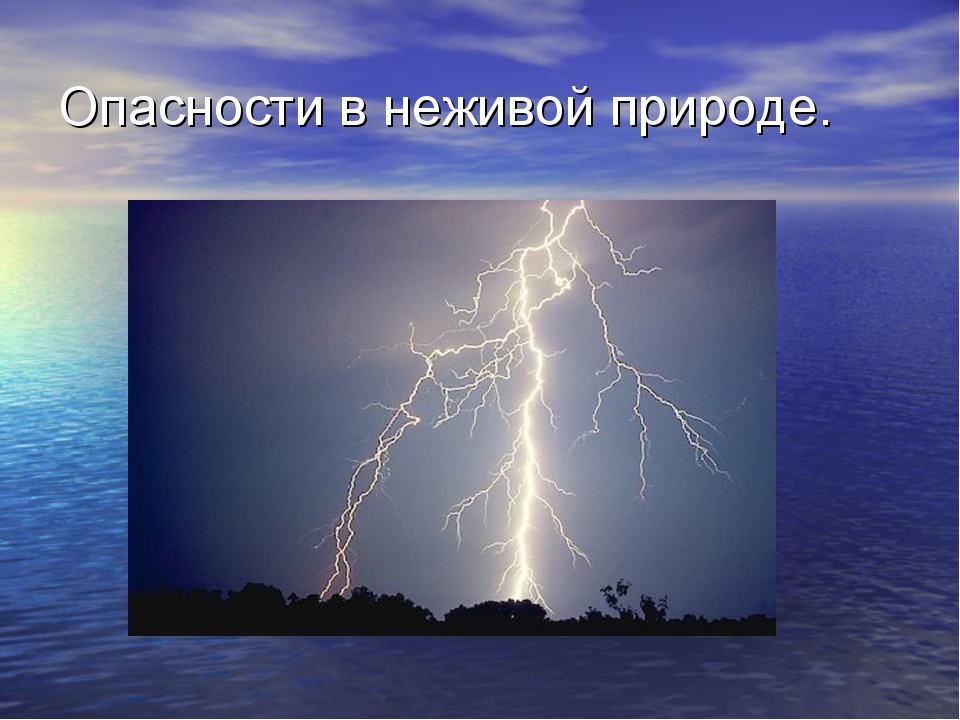 Случай в природе. Природа и наша безопасность. Опасности неживой природы. Природа в опасности. Проект на тему природа и наша безопасность.