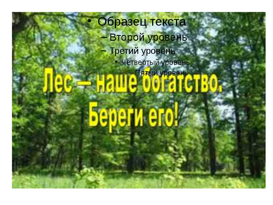 Берегите лес презентация для дошкольников