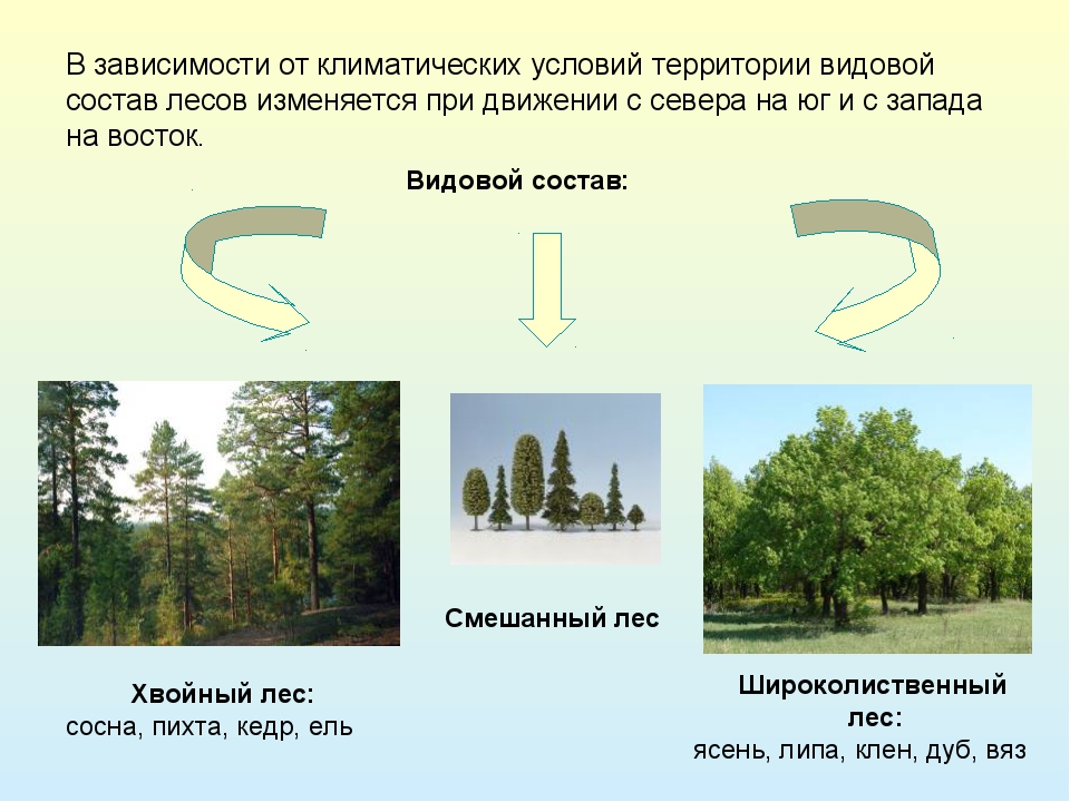 Схема природные ресурсы 8 класс