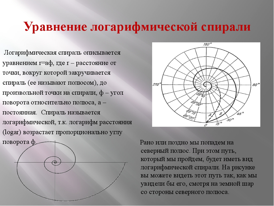 Логарифмическая спираль картинки