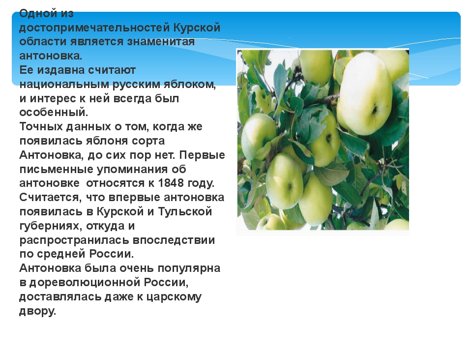 Виртуальная экскурсия в Центрально- Чернозёмный Государственный Биосферный запов