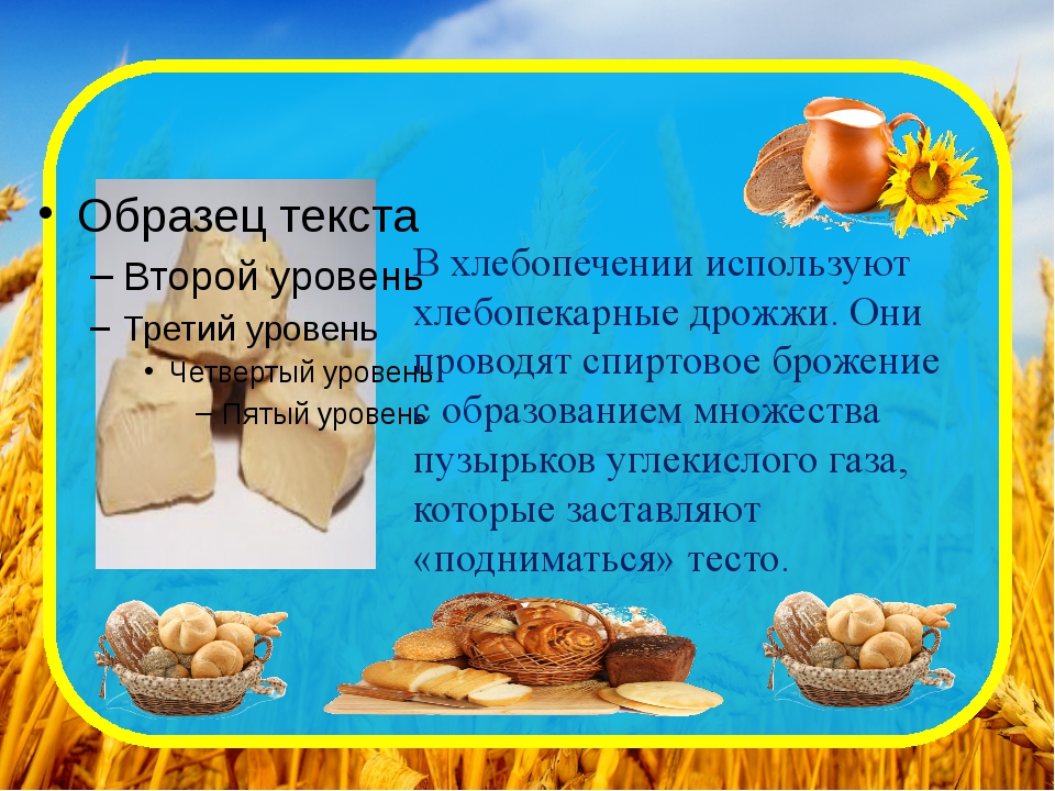 В хлеб добавляют дрожжи. Дрожжи в хлебопечении. В хлебопечении используются. Почему дрожжи используют в хлебопечении. Презентация хлебопекарные дрожжи.