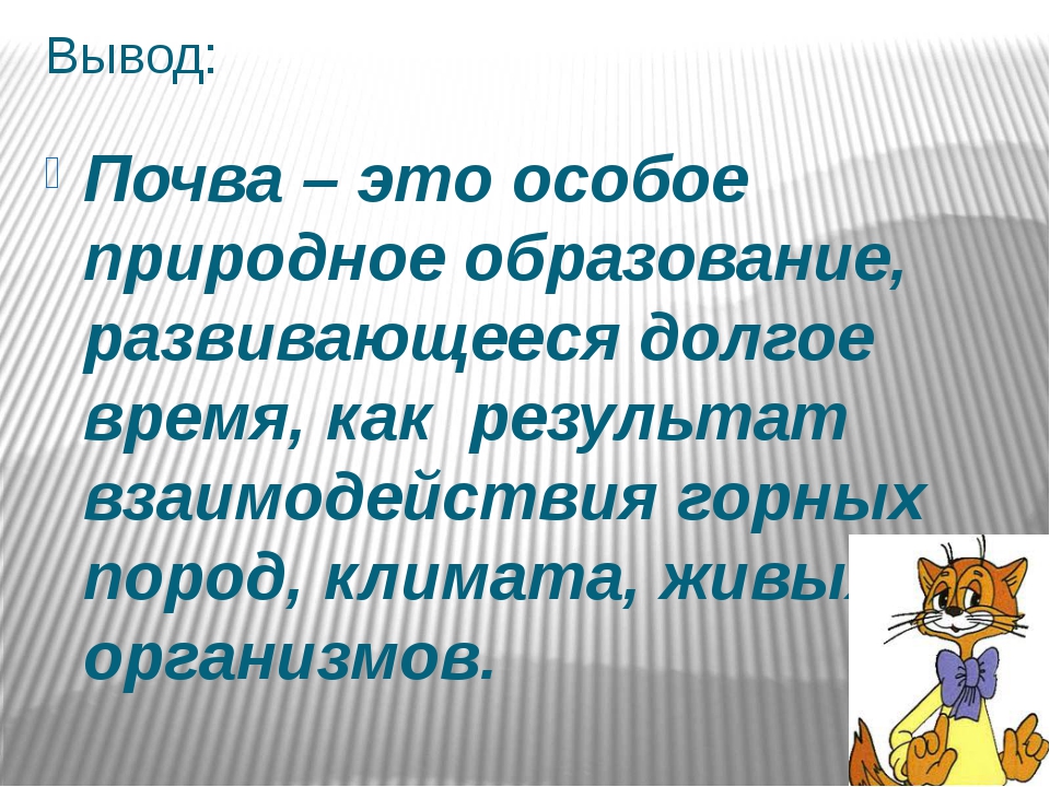 Почва особое природное образование презентация 8 класс пятунин