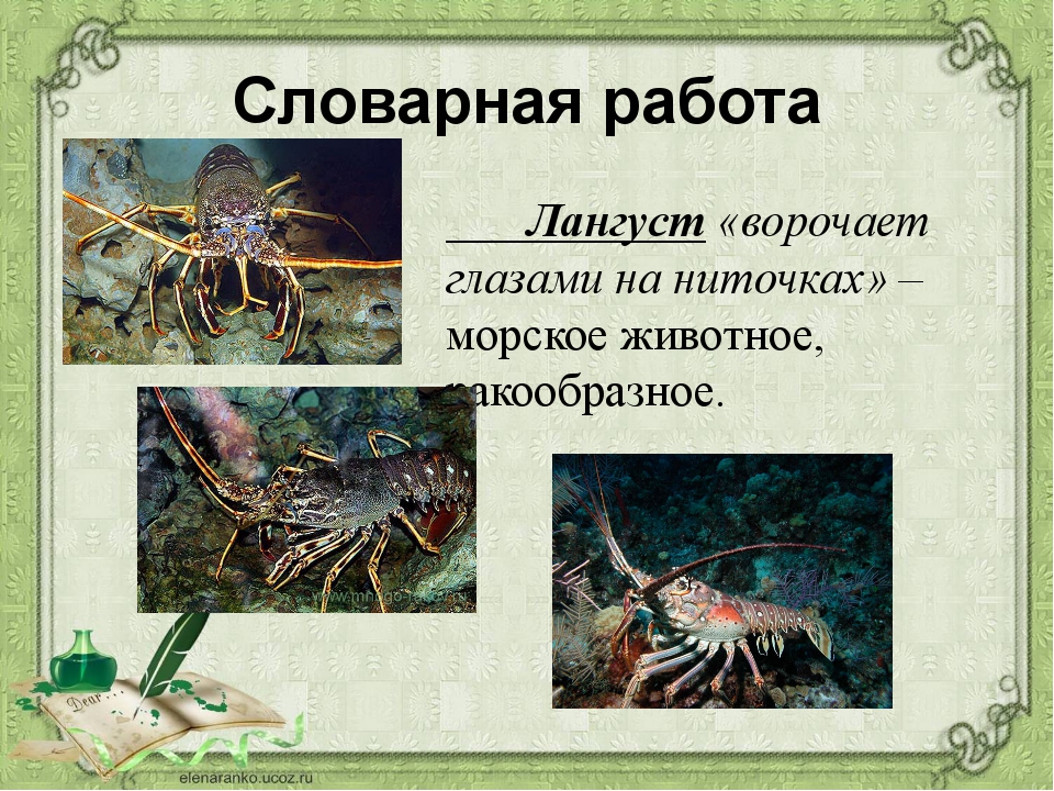 Рассказать о евсейке 3 класс литературное чтение. Случай с Евсейкой. Случай с Евсейкой Словарная работа. Горький м. "случай с Евсейкой". Случай с Евсейкой презентация.