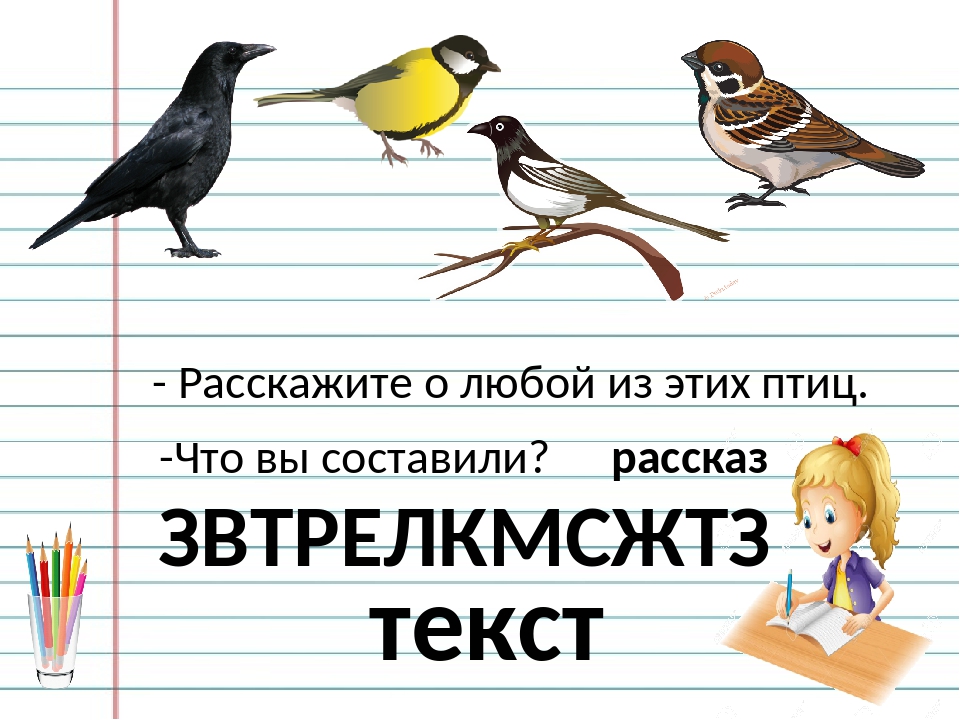 Найди в тексте описание красивых чудесных птиц нарисуй словесную картину к этому эпизоду 3