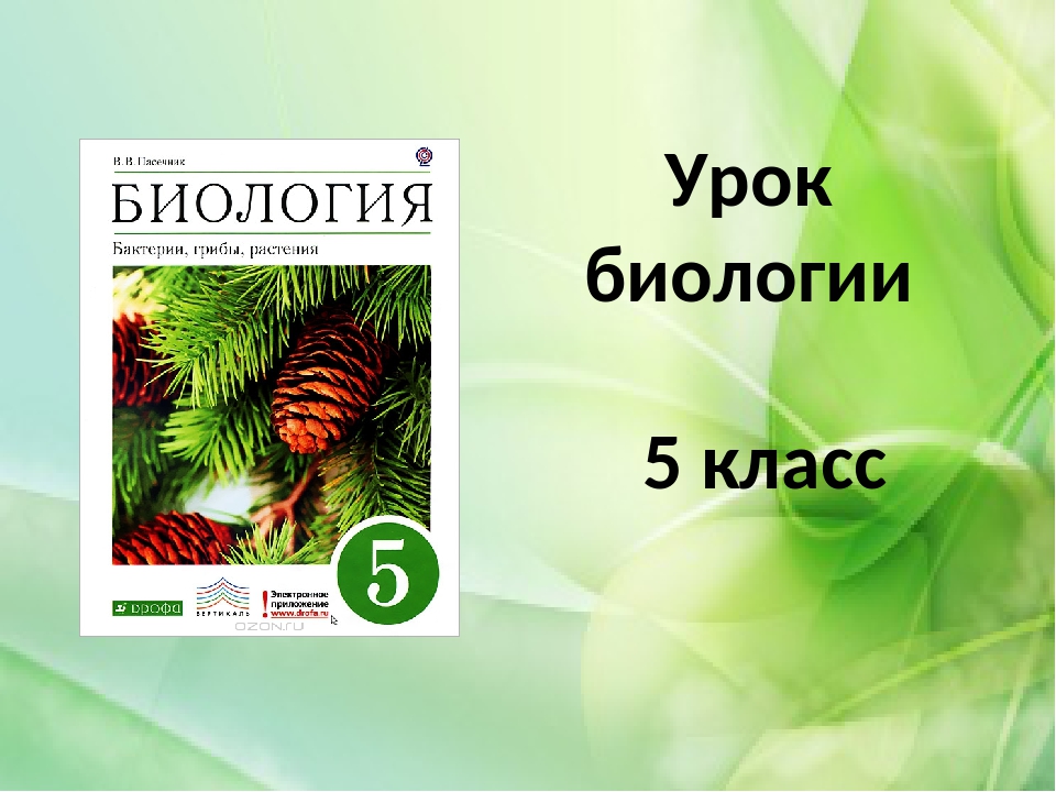 Биология 5 класс какое. Урок по биологии. Урок биологии презентация. Биология 5 класс. Занятия по биологии 5 класс.