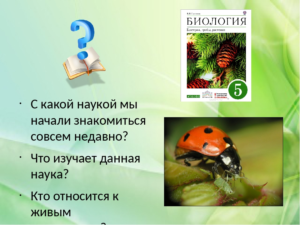 Входная биология 5 класс. Проект по биологии. Биология 5 класс. Что изучает биология 5 класс. Какая наука изучает грибы.