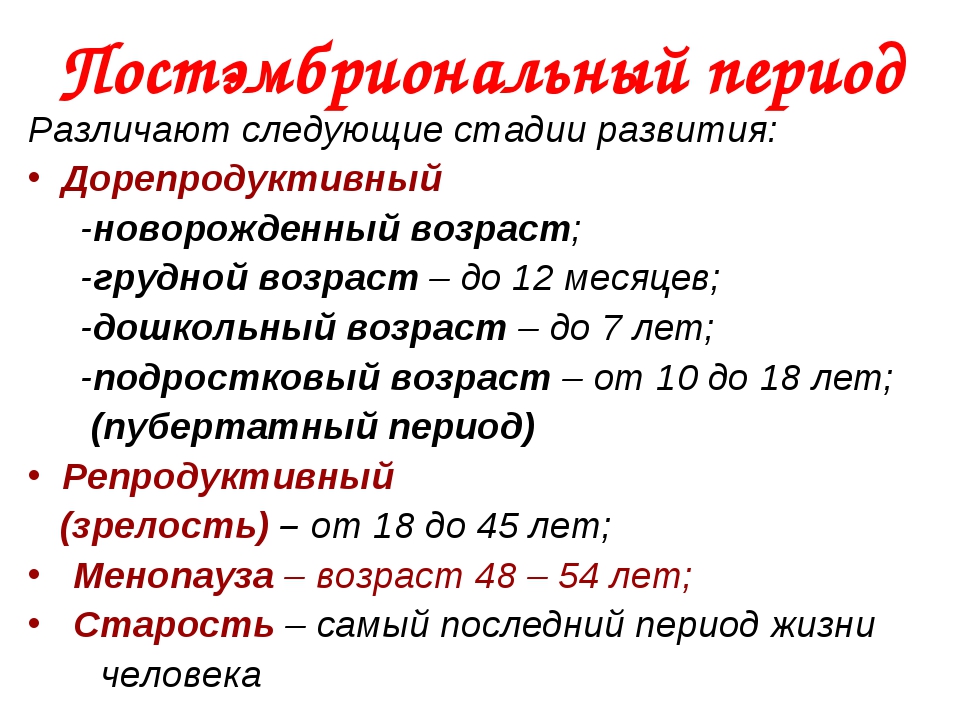 Эпохи развития. Этапы постэмбрионального развития таблица. Постэмбриональный период развития периоды. Периоды постэмбрионального периода. Периоды постэмбрионального развития человека.