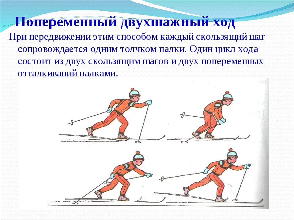 Какой ход передвижения на лыжах появился раньше. Попеременный двухшажный ход техника. Схема попеременного двухшажного хода. Попеременный двухшажный коньковый ход цикл. Технику лыжных ходов попеременный двухшажный.