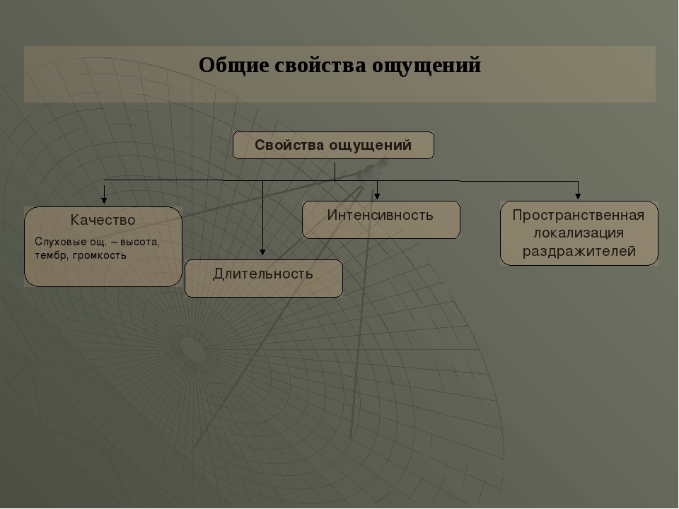 Ощущение ы. Общие свойства ощущений схема. Пространственная локализация раздражителя. Пространственная локализация ощущений. Интенсивность Длительность пространственная локализация.