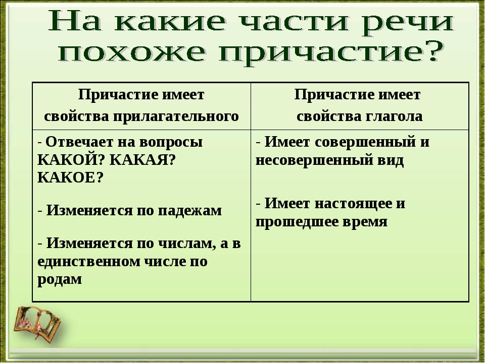 Проект на тему причастие 7 класс