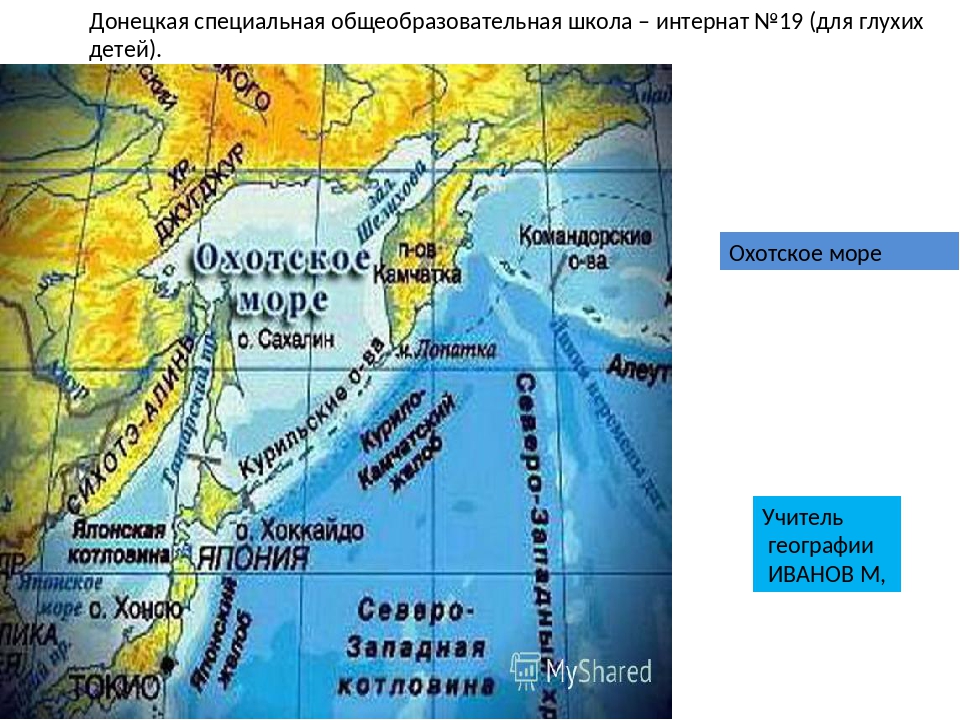 Течения Охотского моря. Карта течений Охотского моря. Течения в Охотском море на карте. Холодное течение Охотского моря.