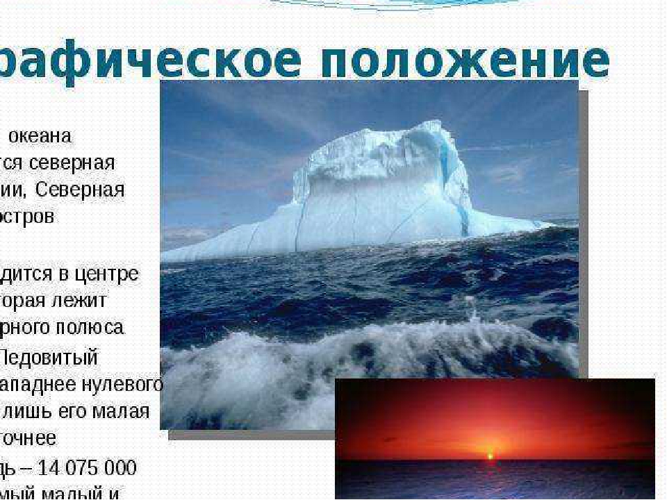 План северно ледовитого океана. Северный Ледовитый океан Общие сведения. Природные явления Северного Ледовитого океана. Природа Северного Ледовитого океана кратко. Северный Ледовитый океан для детей.